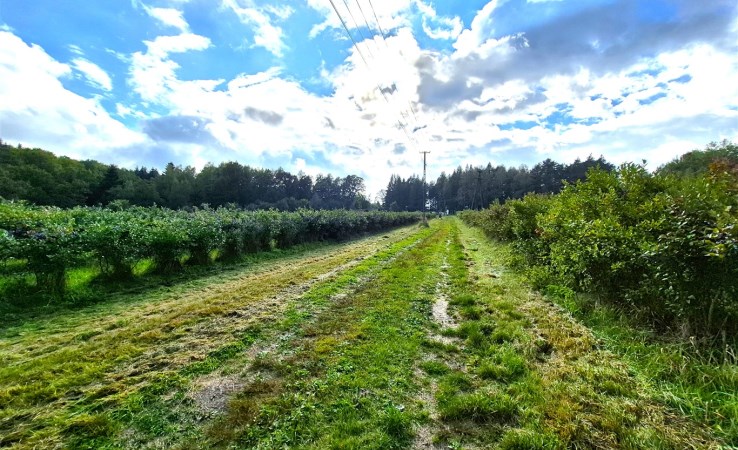 działka na sprzedaż - Wadowice (gw), Klecza Dolna