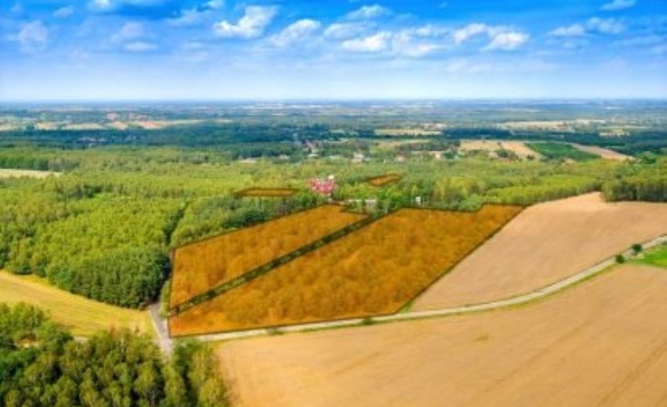 działka na sprzedaż - Dłutów, Dąbrowa