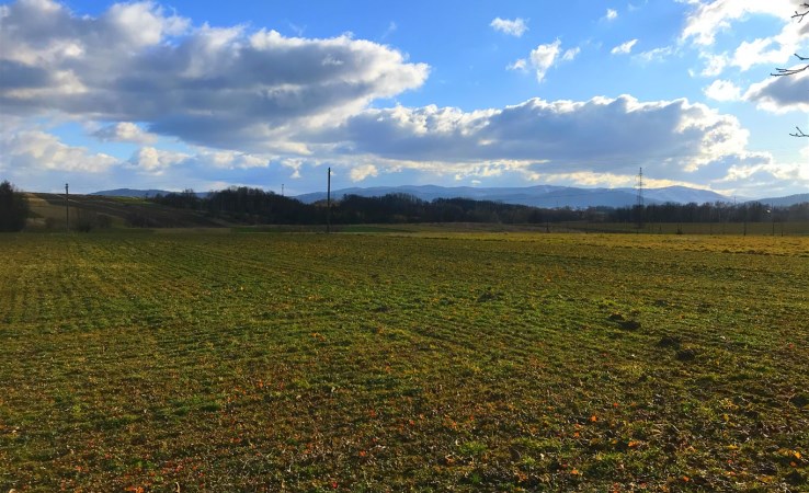 działka na sprzedaż - Wadowice (gw), Chocznia