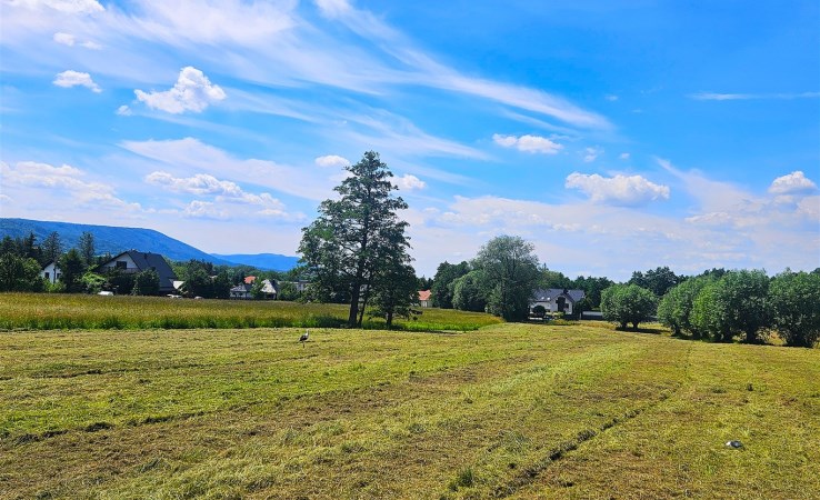 działka na sprzedaż - Andrychów, Pańska Góra