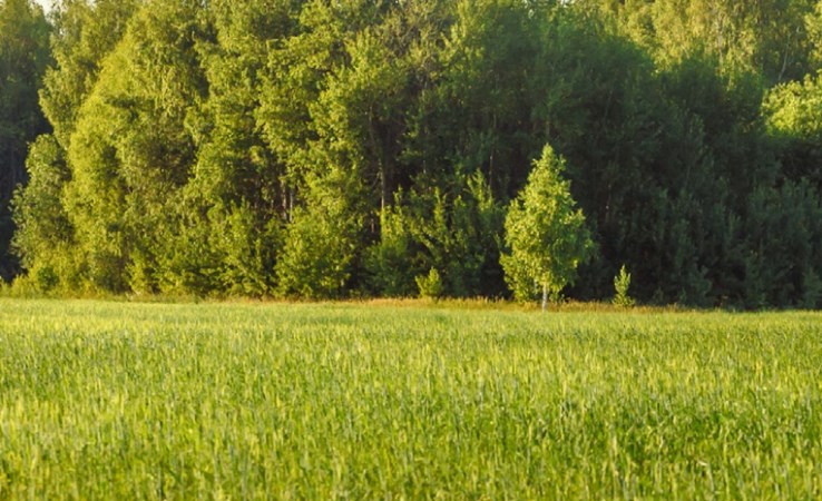 działka na sprzedaż - Wrocław