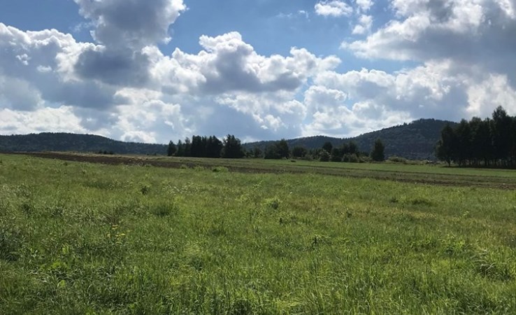 działka na sprzedaż - Wadowice (gw), Chocznia